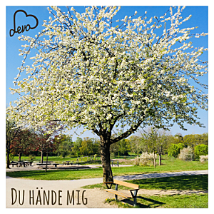 Du%20hände%20mig%20300